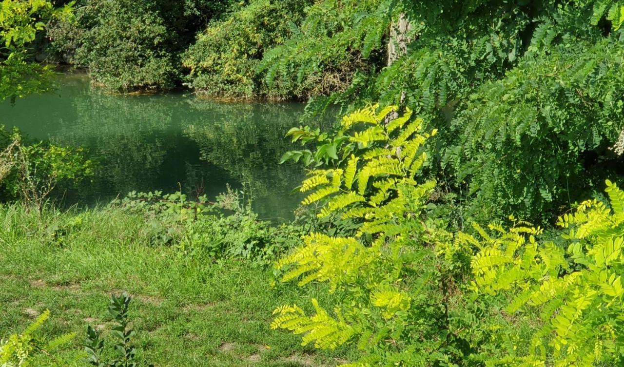 Au Petit Canal De Colmar 2 Kunheim Eksteriør bilde